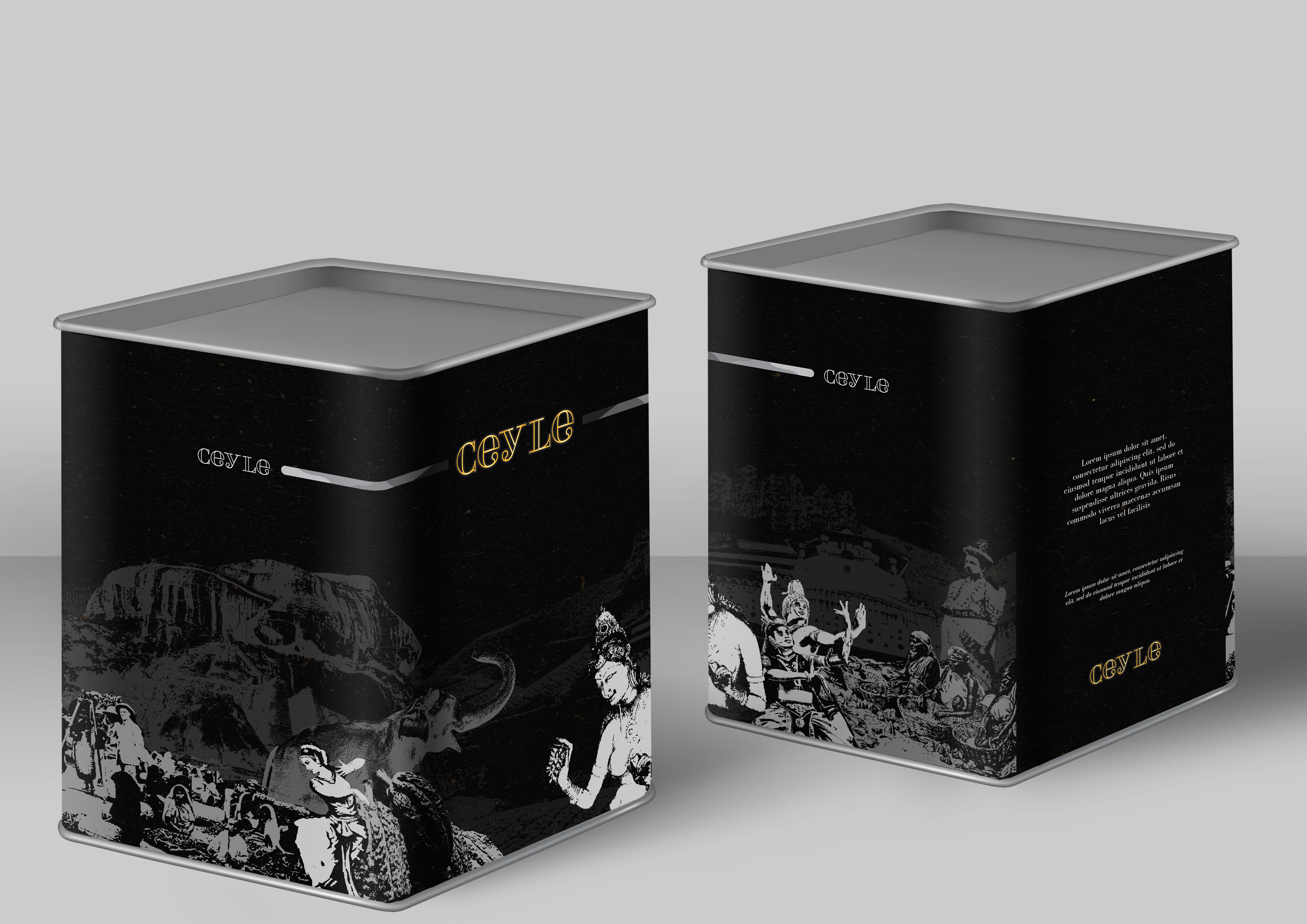 Ceyle Product Design