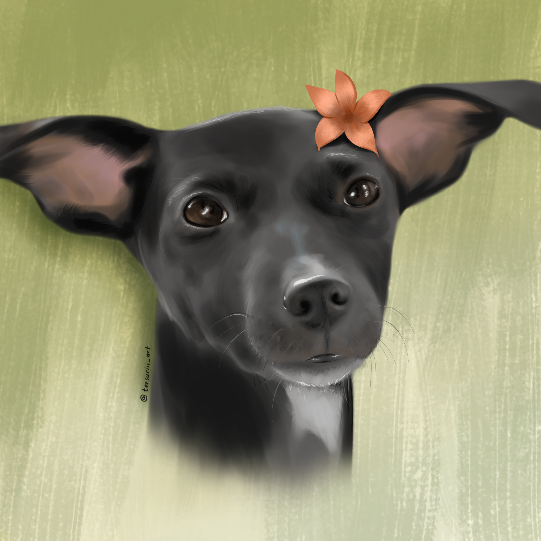 Black Dog Portrait — Digital Painting