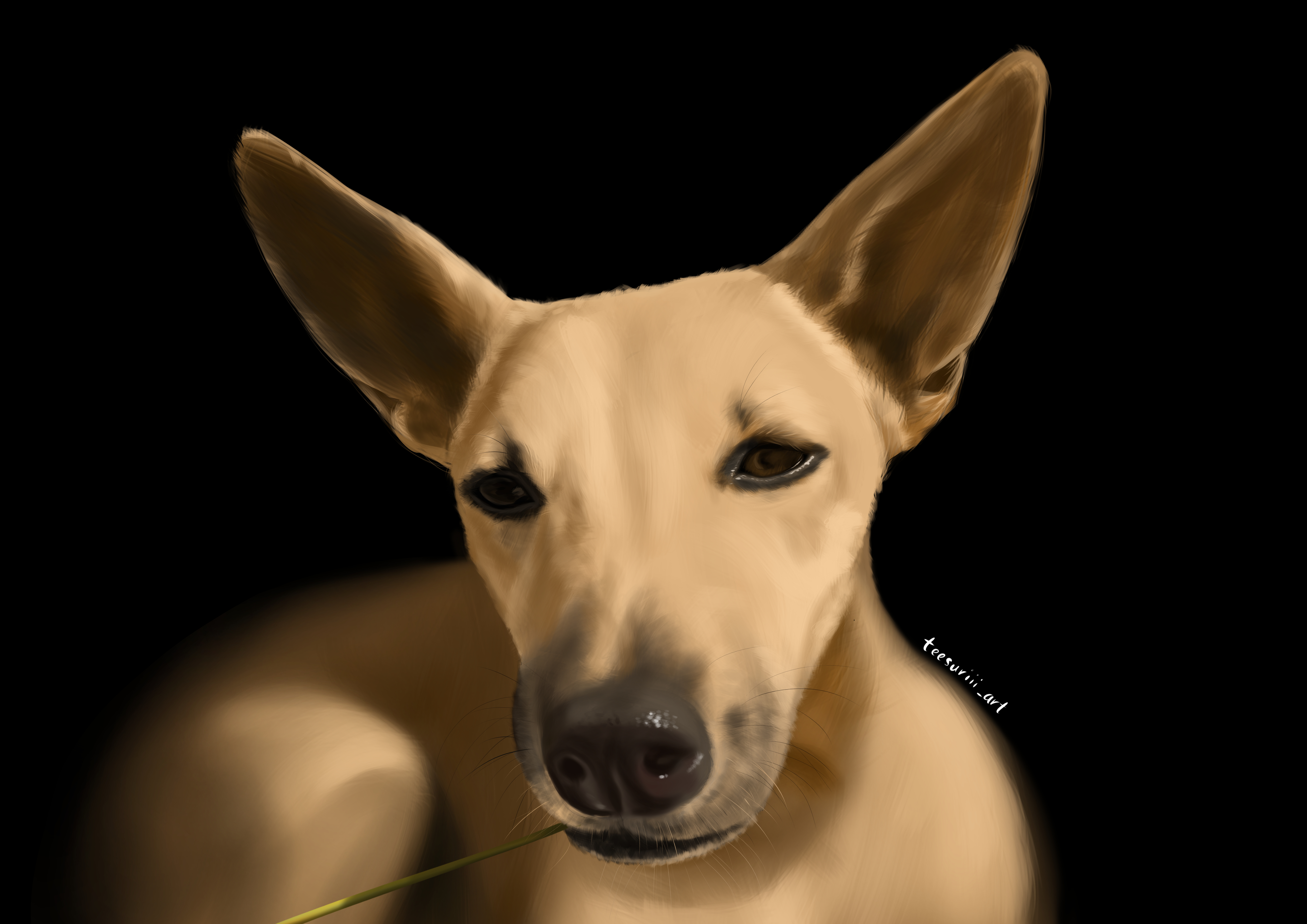Dog Portrait — Digital Painting
